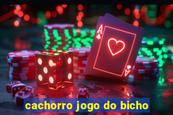 cachorro jogo do bicho